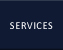 Professional Services