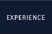 Project Experience