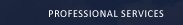 Professional Services