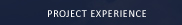 Project Experience