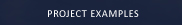 Project Examples